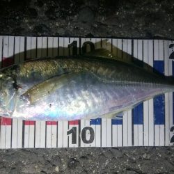 小さなあたりをしっかりと感じて